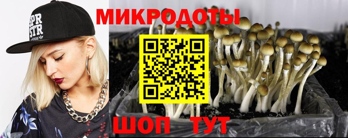 Галлюциногенные грибы GOLDEN TEACHER Самара